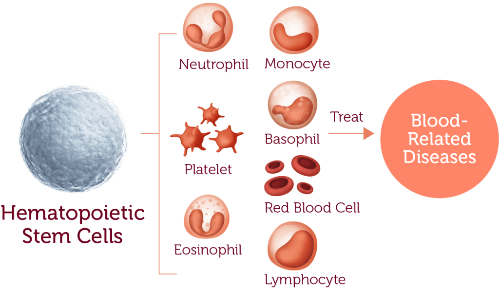 Cord Blood Banking