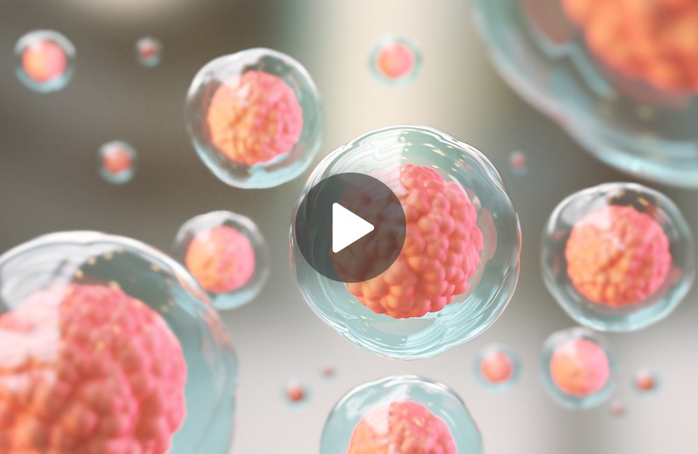 The future of stem cell therapy