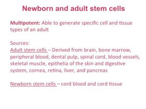 Stem Cell Capabilities