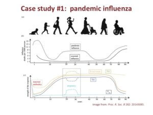 The immune system and aging