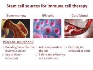 Rejuvenating the immune system